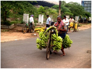 Banana delivery to market